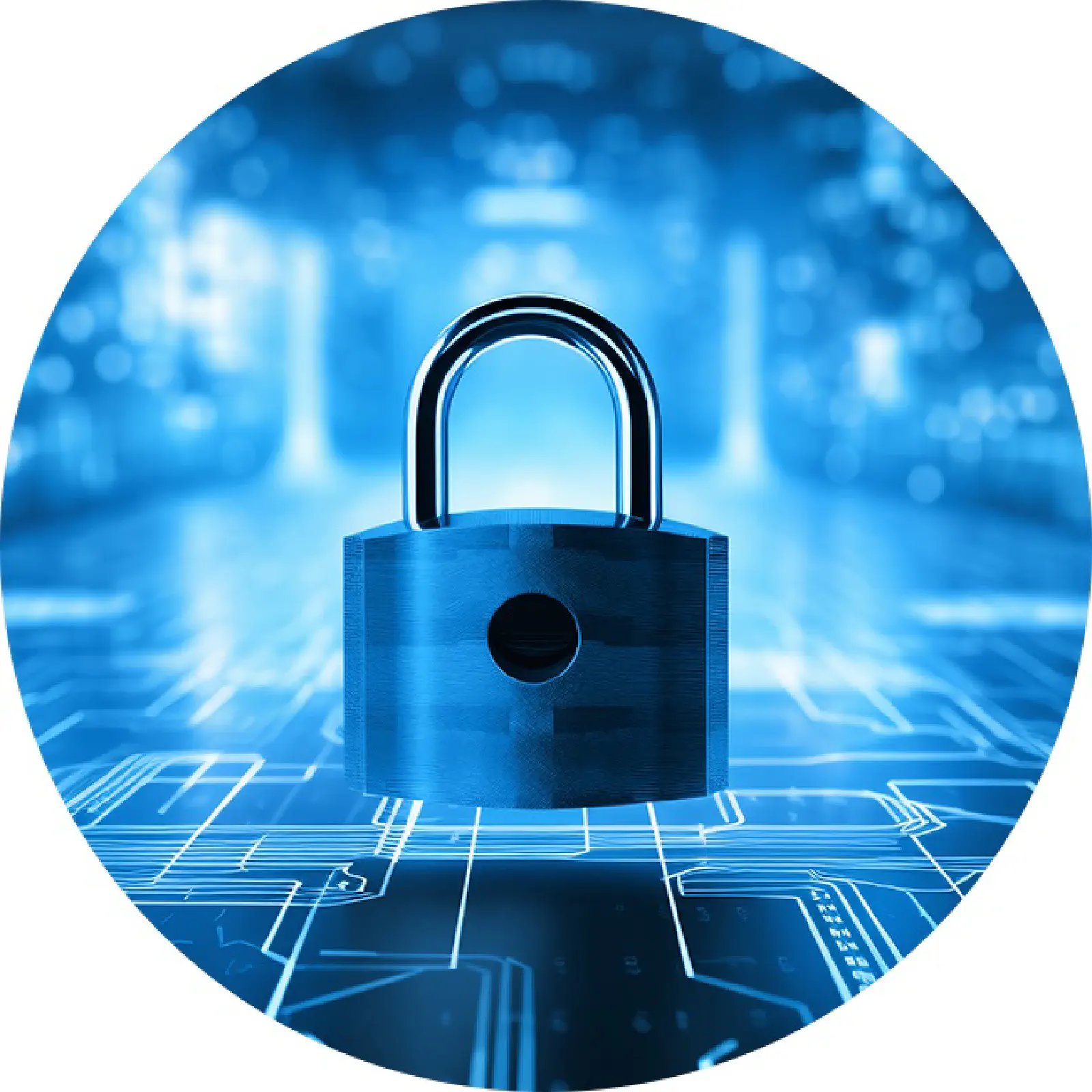 Strengthening Your Defenses